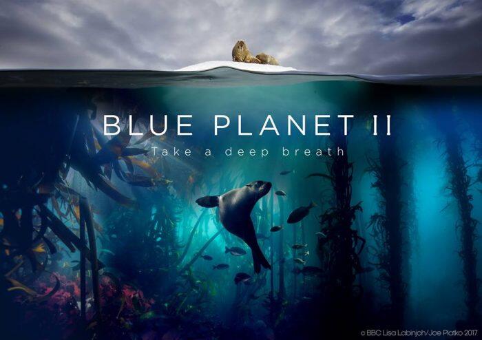 Así es el increíble y conmovedor trailer de Blue Planet II