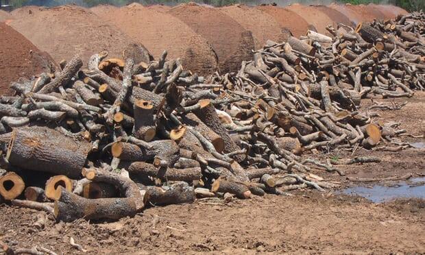 Les supermarchés européens agissent-ils sur la destruction de la forêt au Paraguay?