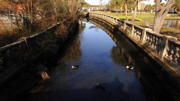 La société de règles des juges qui reçoit une trésorerie d’assurance doit payer pour dire que l’autre entreprise est responsable de la pollution du ruisseau Hogans