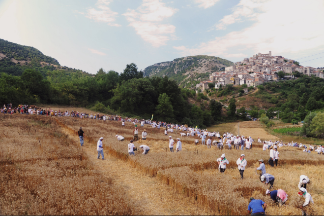 Italy’s New Rural