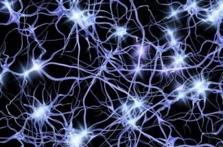 ‘Oleadas’ de actividad neuronal dan nuevas pistas sobre el alzhéimer