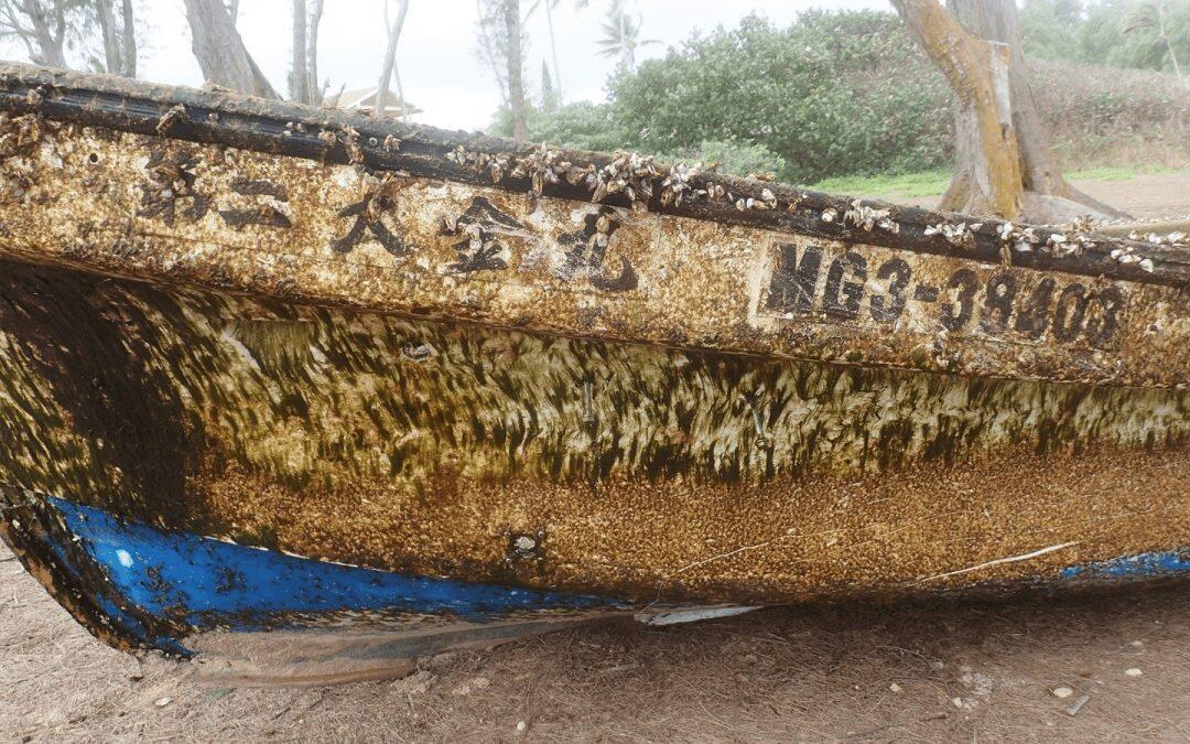 Préoccupations environnementales après la chute de près de 70 espèces de débris tsunamis à Hawaï