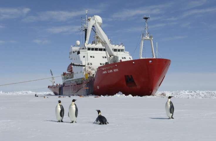 Des scientifiques visitent l’écosystème caché de l’Antarctique après le vêlage géant des icebergs