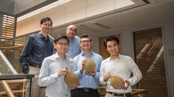 Des scientifiques de Singapour révèlent les origines de l’arôme piquant de durian