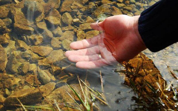 Les dirigeants des partis politiques sont invités à protéger l’environnement