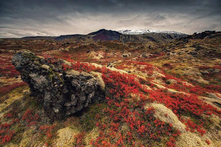 In Focus: L’Islande laisse une empreinte environnementale énorme