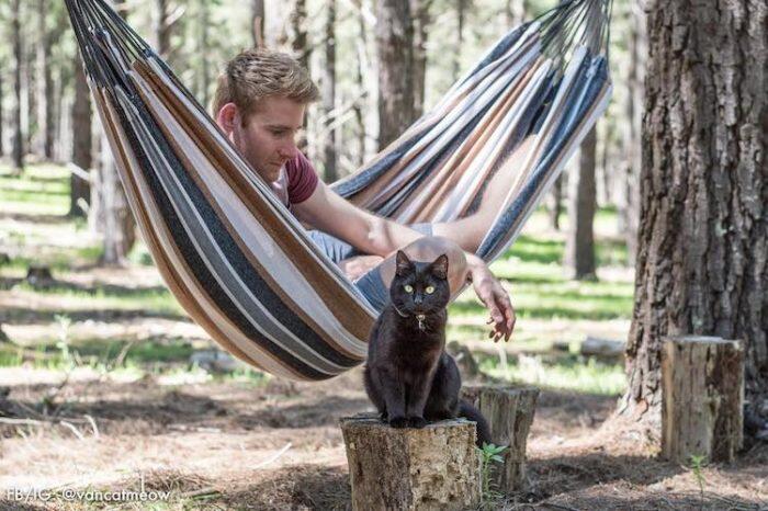 Vendió todo y renunció a su trabajo para recorrer Australia junto a su gata