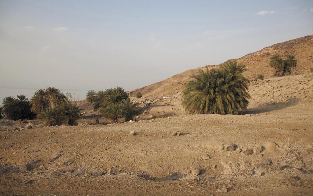 Home and Dry: Middle East water shortages