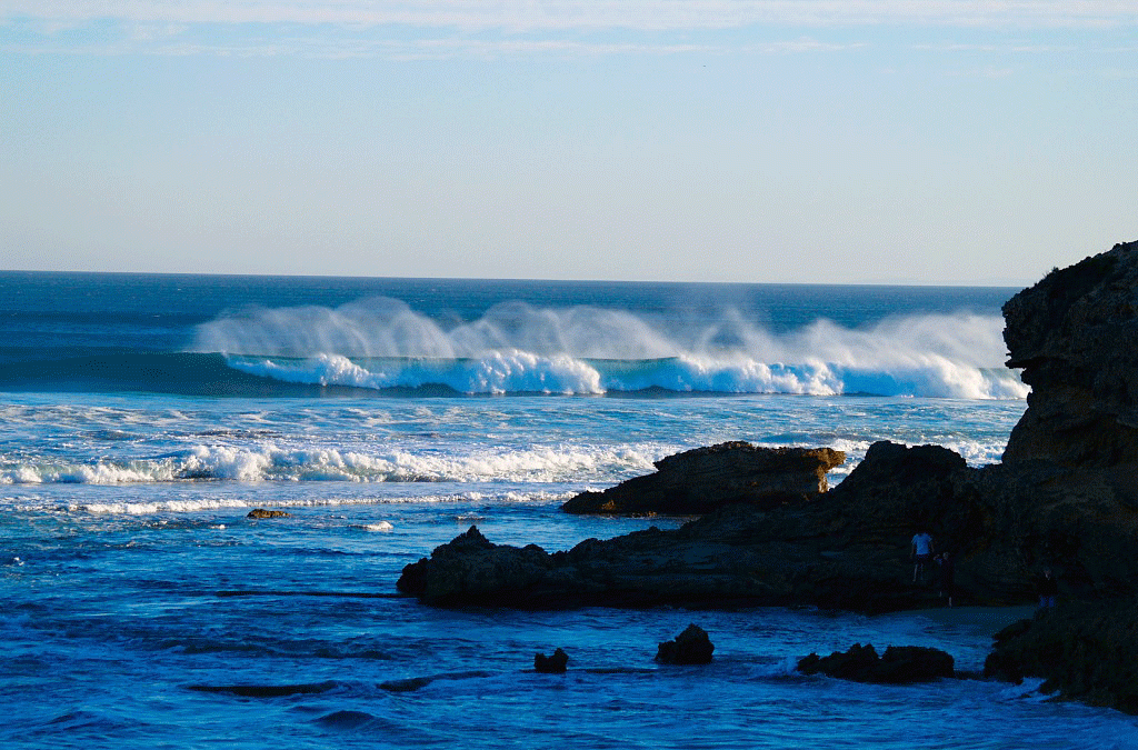 Bajo las aguas marinas se encuentra la mayor montaña del mundo.