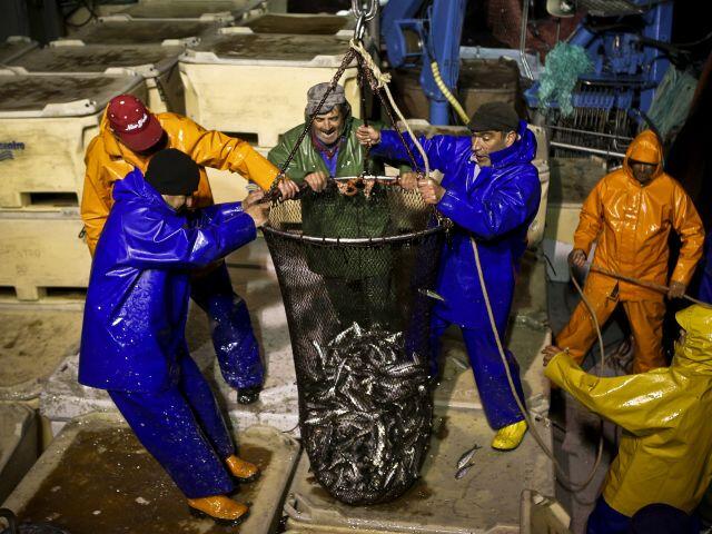 Le Portugal face à l’interdiction de la sardine