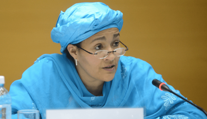 Rosewood Exports: Amina Mohammed Acted within the Law, Says Environment Minister