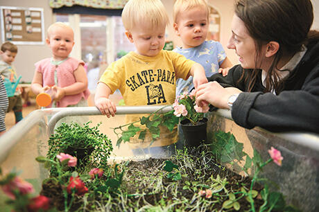 Nurseries gain environmental award