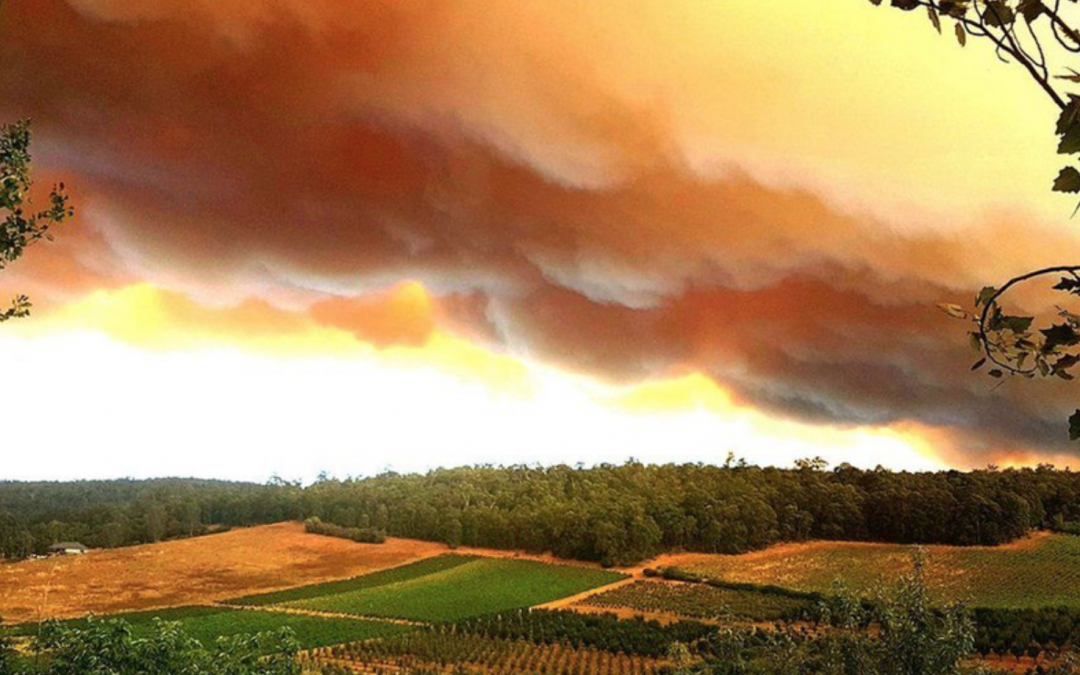 The breathtaking images of orange skies left by fires in Australia