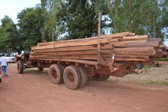 30 tonnes de bois extrait illégalement en Amazonie