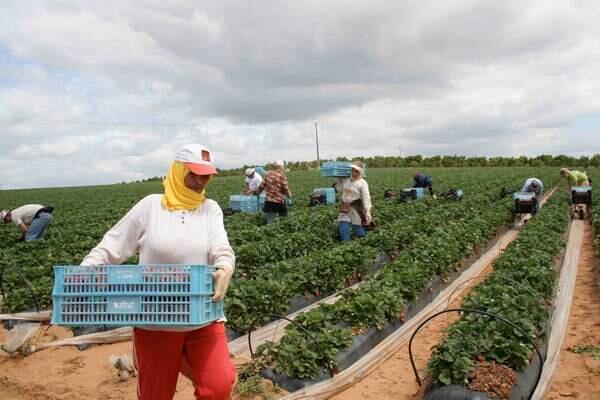 Morocco Will Not Achieve $1,000 Per Capita Income by 2030