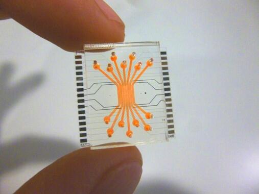 Un microchip microfluídico reproduce la barrera de la retina humana