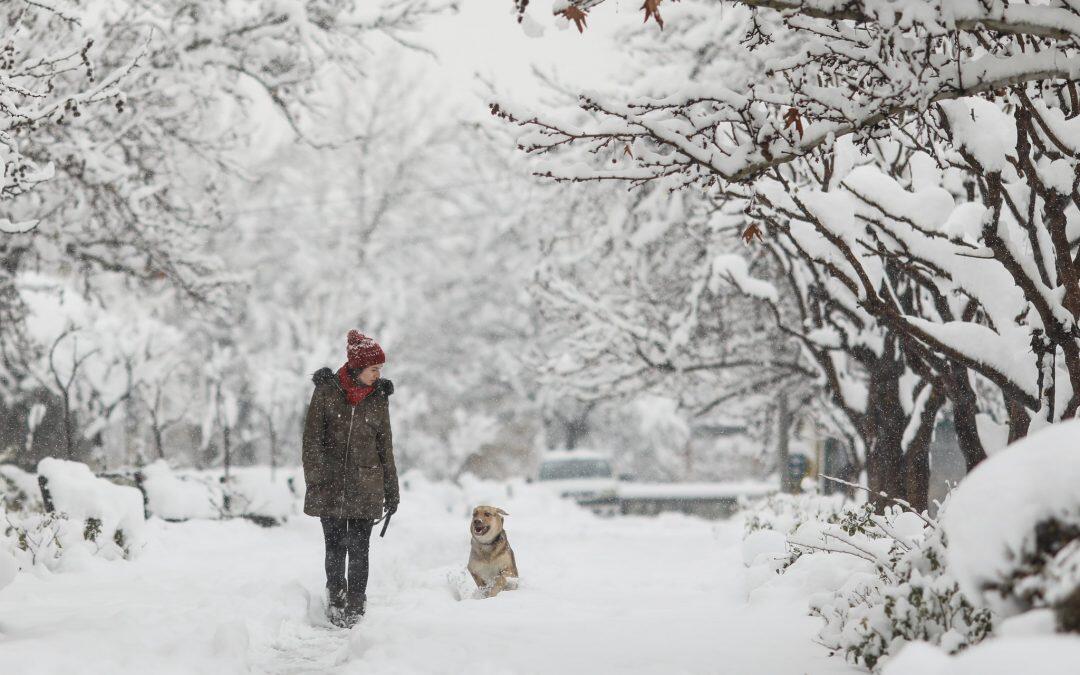 Iranians Prayed for Rain, but Were Covered in Snow