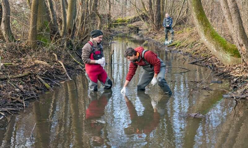 Identifying species via environmental DNA