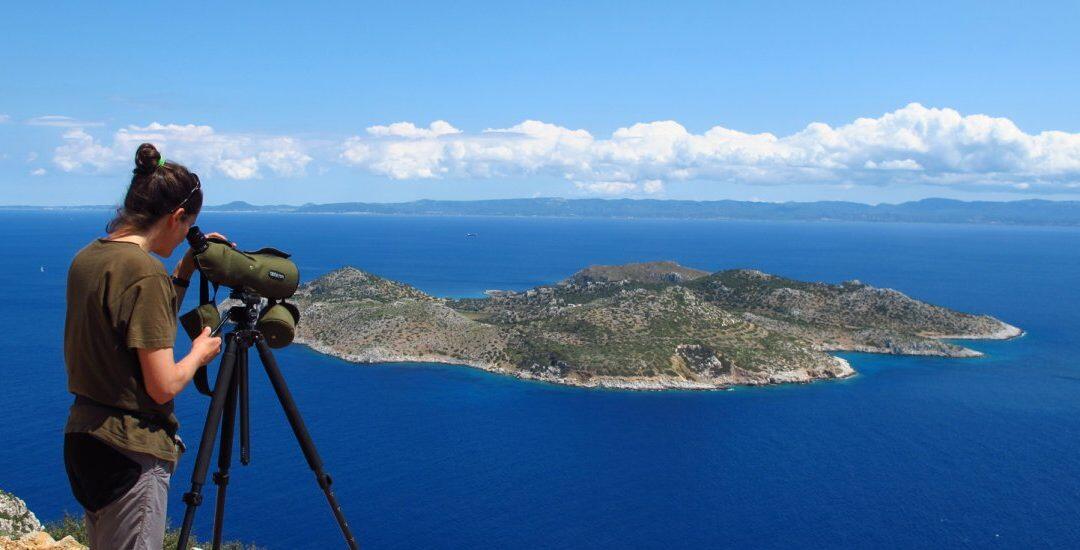 HOS / BirdLife Grèce navigue sur les hauts-plateaux politiques pour fournir une protection marine critique