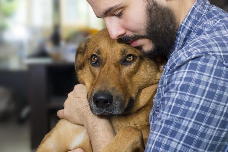 5 cosas que tu perro puede percibir en ti