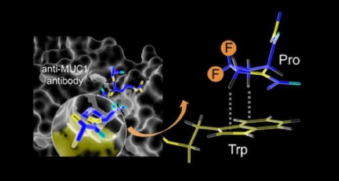 Proteínas de diseño para mejorar el diagnóstico del cáncer de próstata