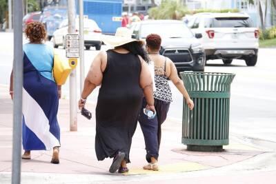 Identifican microorganismos que podrían estar detrás del origen de la obesidad