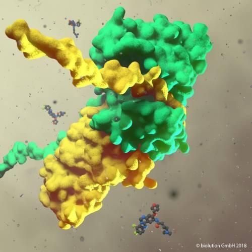 Medicamentos ya establecidos que combaten el crecimiento tumoral del cáncer de pulmón