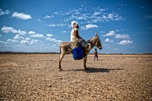 Rastrean con móviles las migraciones debidas al cambio climático