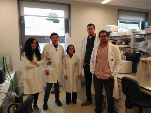 Avanzan en el estudio de la regeneración de neuronas cerebrales en lesiones medulares