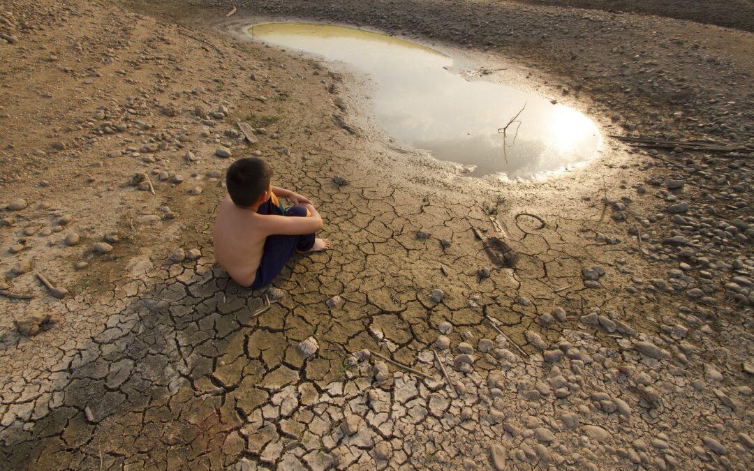 ¿Cual es el aliado más efectivo contra el cambio climático?