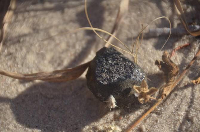 Encuentran un fragmento del minúsculo asteroide caído en Botsuana el mes pasado