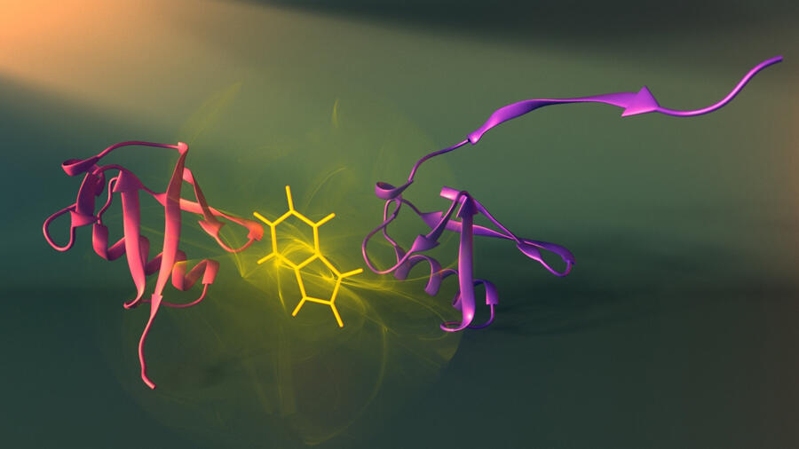 Una sonda fluorescente aporta luz sobre la bacteria de la tuberculosis