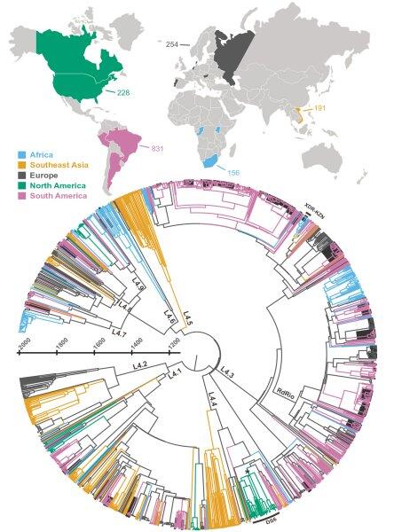 La tuberculosis se ha adaptado en distintas regiones para hacerse resistente a los antibióticos