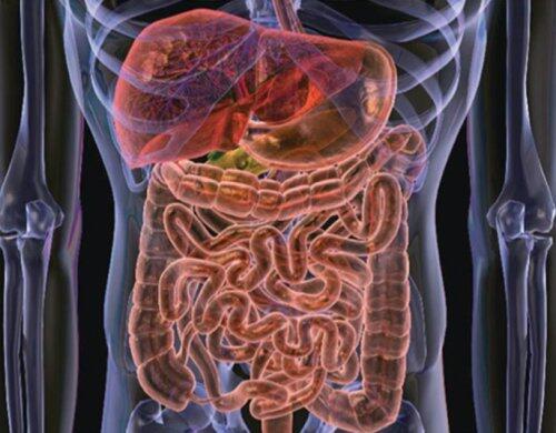 Una patente del CSIC da lugar a un medicamento pionero en el tratamiento de la Enfermedad de Crohn