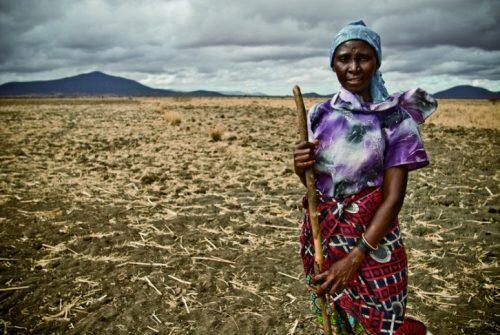 consecuencias-cambio-climatico-cultivos