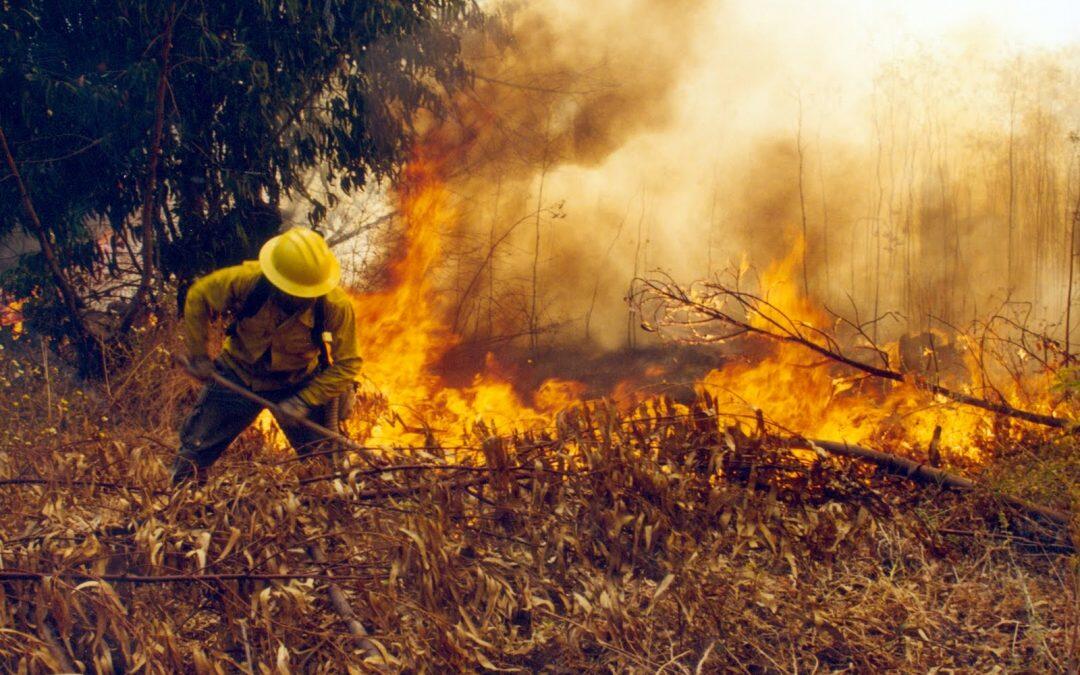 Miles nuevos incendios, complican la situación en el Amazonas