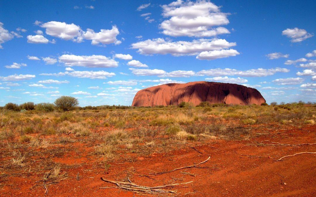 Australia es el continente más plano con  más de 1500 especias de arañas.