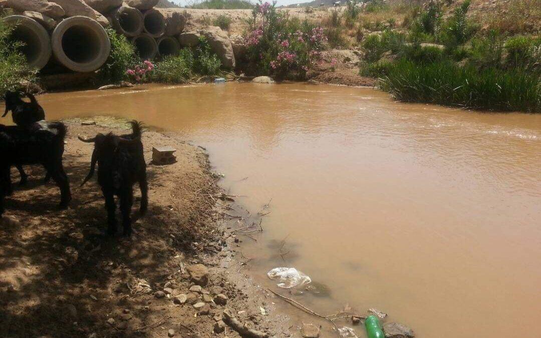 نحو الجلسة الثانية… قضية الليطاني بين سقف القانون وسقف الملوثين!