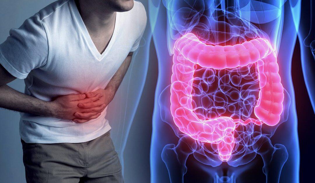 ¿Como combatir la eficacia la inflamación intestinal?