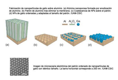 Un nuevo avance en la producción de nanopartículas favorecerá los biosensores del futuro