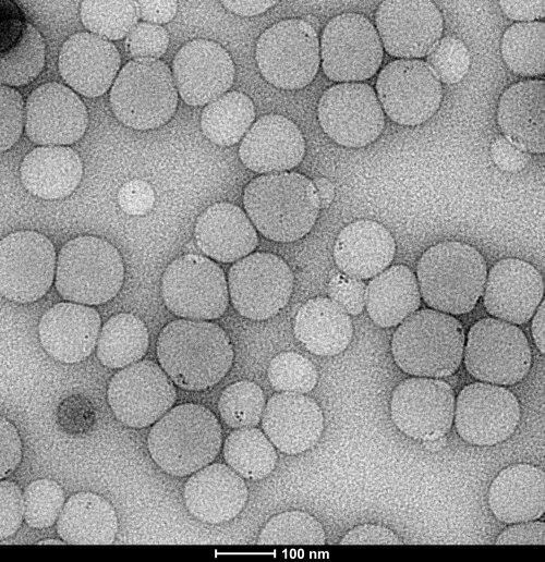 Nuevas aplicaciones para nanopartículas encapsuladas con propiedades prometedoras