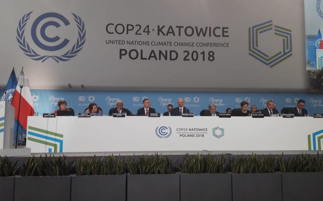 “الغابات من أجل المناخ” .. إعلان وزاري في cop24