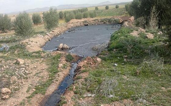 حقوقيون يحذرون من مادة “المرجان” الخطيرة بوزان المغربية