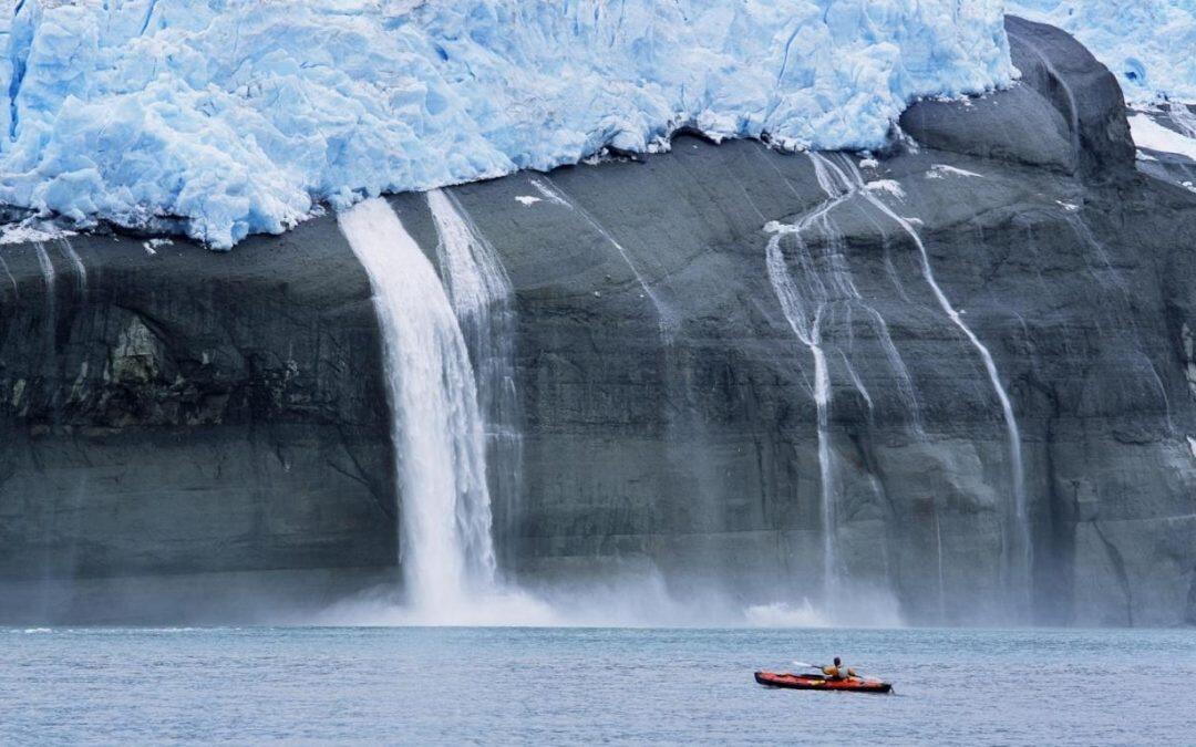 En Groenlandia, la ballena es junto con la foca el plato nacional.