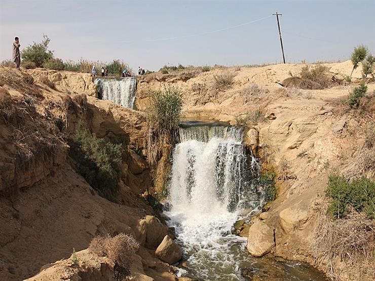 محمية وادي الريان يرجع عمرها إلى حوالى 40 مليون عام وهذه الحفريات لهياكل متحجرة لحيتان بدائية وأسنان سمك القرش وأصداف وغيرها