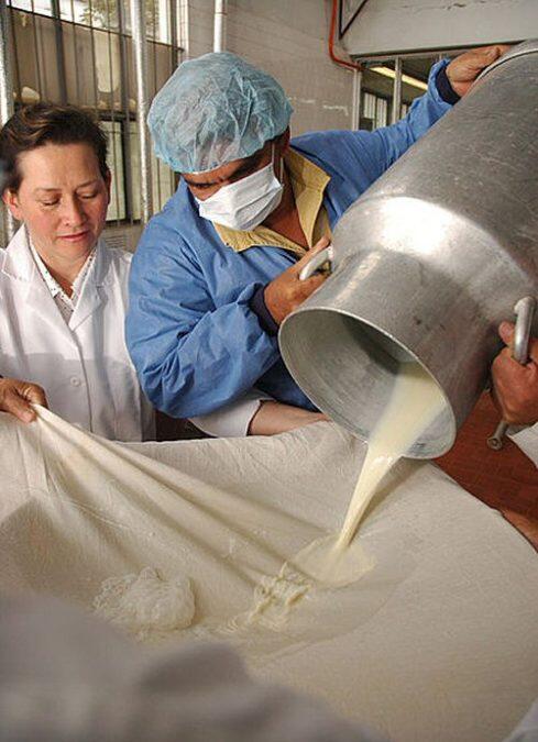 Péptidos de leche combaten la resistencia a antibióticos