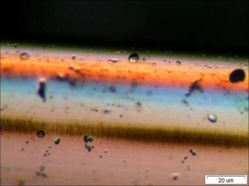 Desarrollan un biosensor capaz de detectar contaminantes de bajo peso molecular a muy bajas concentraciones