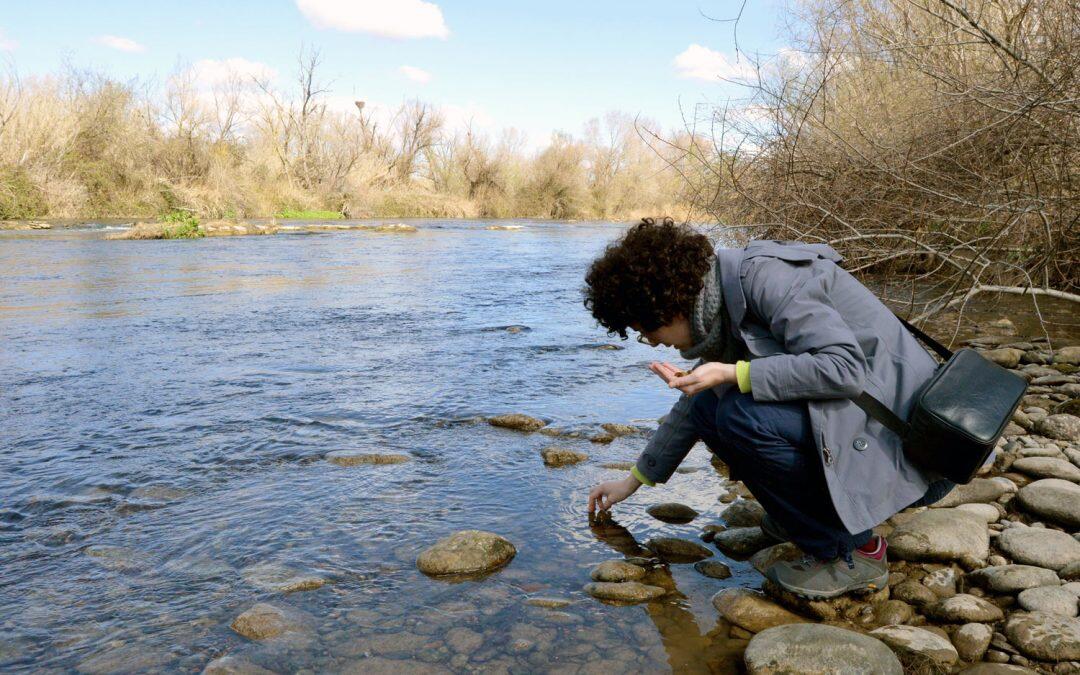 La almeja asiática, detecta el estado de contaminación de aguas ácidas