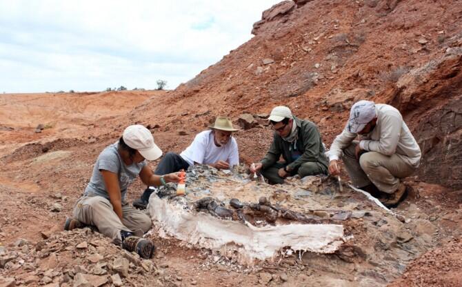 Descubren un extraordinario ‘cementerio de animales’ de 220 millones de años en San Juan