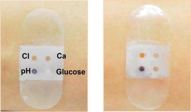 Biosensor ‘bandage’ collects and analyzes sweat